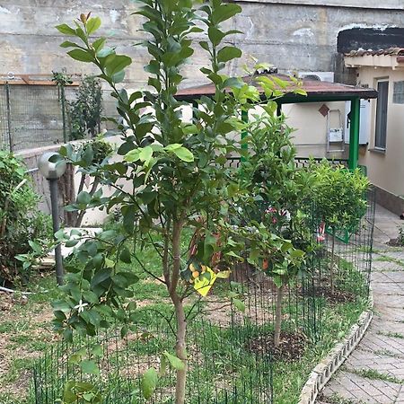 B&B Civitavecchia La Casetta Con Giardino Dış mekan fotoğraf